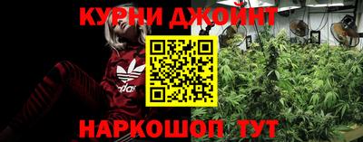 jwh Камышлов