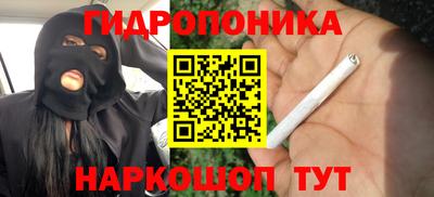 jwh Камышлов