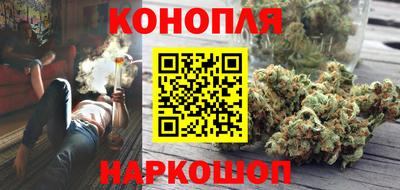 jwh Камышлов