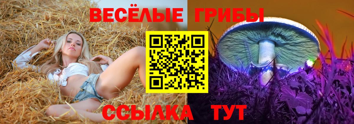 Галлюциногенные грибы Cubensis Кувандык